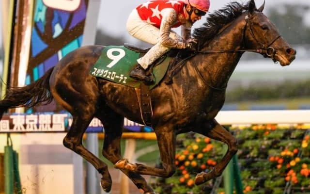 【共同通信杯 想定騎手】ステラヴェローチェは横山典弘騎手、ディオスバリエンテは石橋脩騎手