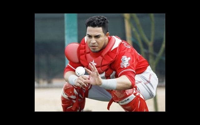 カブレラJr、巨漢投手、二刀流…。BCリーグ茨城が怪しすぎて面白い