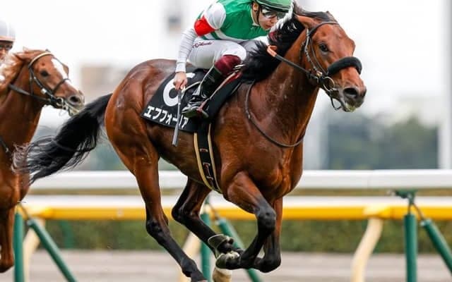 【共同通信杯展望】GI馬多数輩出の出世レース、注目はあの馬