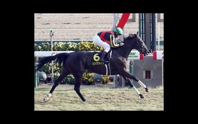 ３歳牝馬番付は「２強」状態。クラシックまでに新星登場への期待膨らむ