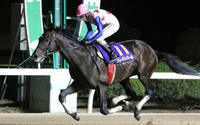 【佐賀記念 見どころ】JRAからクリンチャーら、地元からグレイトパールらが参戦