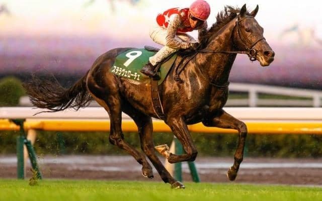 【共同通信杯出走馬・騎手確定】ステラヴェローチェ＆横山典弘騎手、シャフリヤール＆福永祐一騎手など12頭