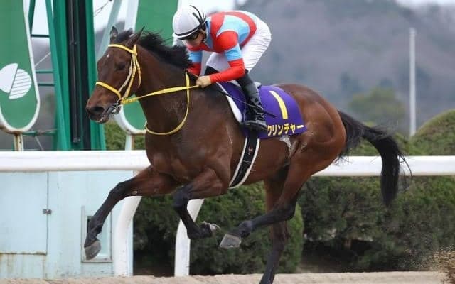 【佐賀記念結果】クリンチャーが断然人気に応え9馬身差V！