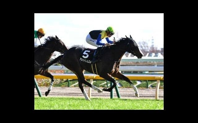 クイーンＣは過去10年の「勝利条件」から本命、穴馬をピックアップ