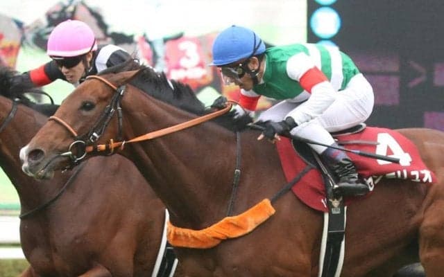 センテリュオが競走馬登録抹消