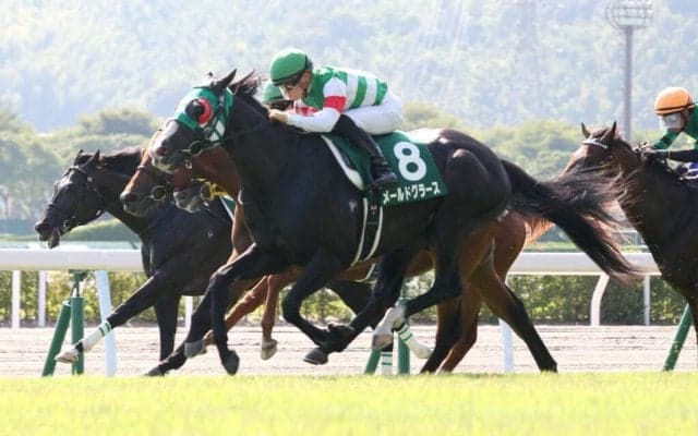 メールドグラースが競走馬登録抹消