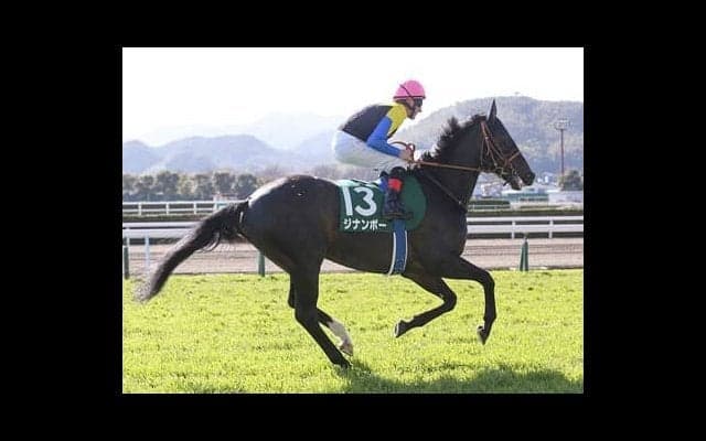 超難解な京都記念。穴党記者が悩んだ末に導いた高配当をもたらす３頭