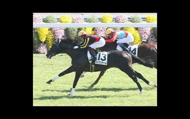 共同通信杯は京成杯の負け組、ディープ産駒、３番人気で好配当を狙え