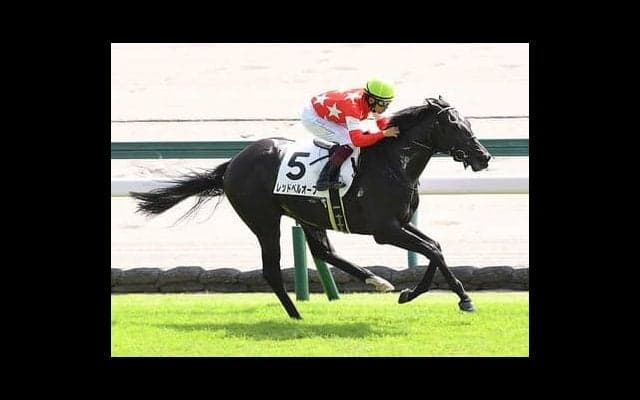 「クラシックへ行くと決めた」レッドベルオーブ。「距離は大丈夫」と陣営