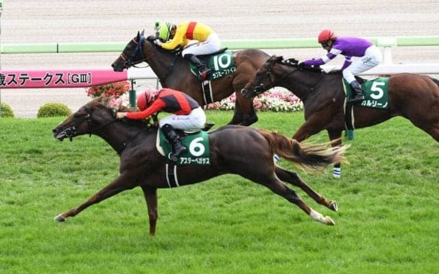 アスターペガサスが競走馬登録抹消