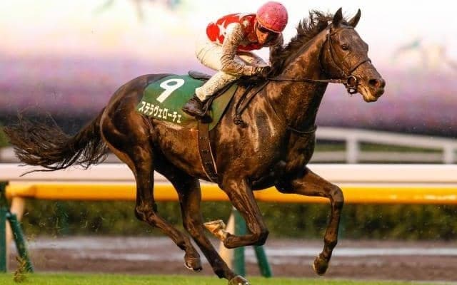 【本日の注目ポイント】東京で共同通信杯、阪神で京都記念