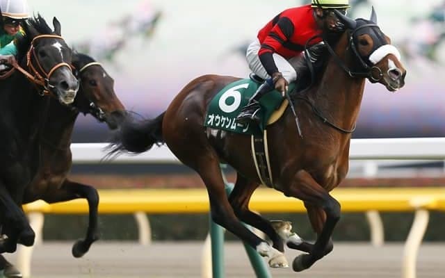 【共同通信杯予想】暑いと人気薄が激走する!? “気象予想”から浮上してきた「激走注目馬」は？/JRAレース展望