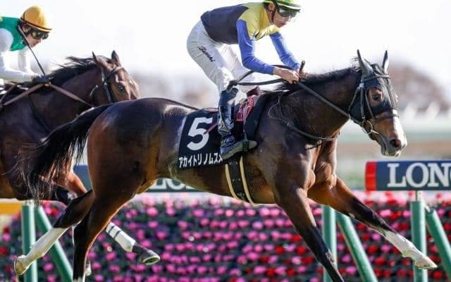 【クイーンC・馬体重】ククナは452kg(+2)、アカイトリノムスメは450kg(+4)