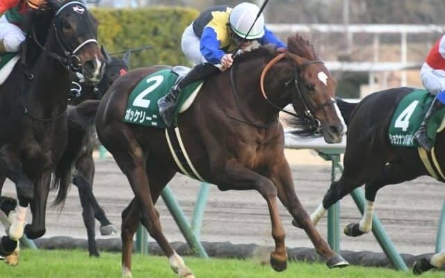 【小倉大賞典見どころ】ボッケリーニが重賞連勝を狙う