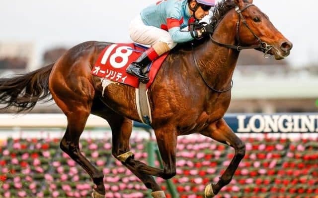 【ダイヤモンドS見どころ】オーソリティが重賞3勝目を狙う