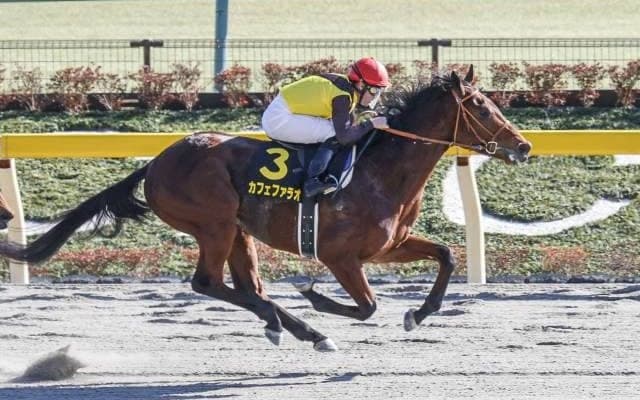 【フェブラリーS見どころ】カフェファラオが人気の中心か