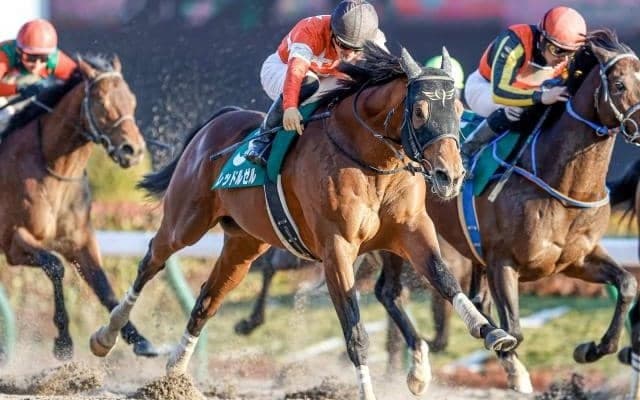 今年最初の中央GI・フェブラリーSに注目/今週の競馬界の見どころ