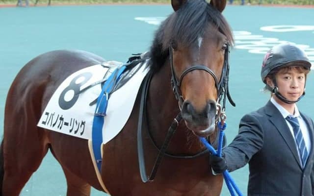 【JRA】阪神6Rでコパノカーリングが予後不良、鞍上の中井裕二騎手は異状なし