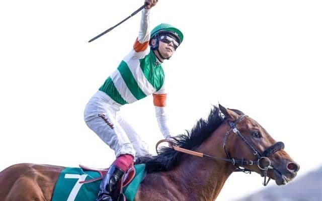 【勝負の分かれ目 共同通信杯】エフフォーリアが力強く抜け出し、クラシック主役級の一頭に