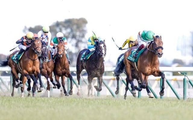 【JRA・WIN5】今週のWIN5は的中2275票、配当24万4690円