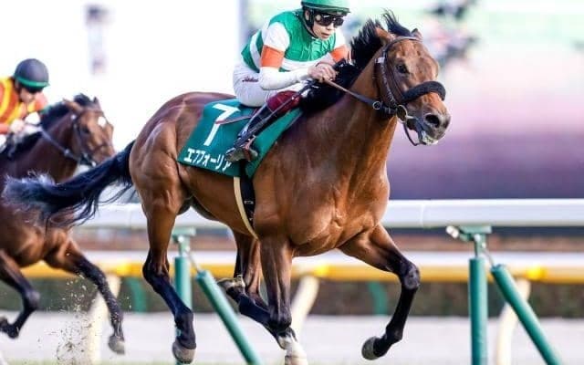 【共同通信杯結果】エフフォーリアが無傷の3連勝で重賞制覇！ いざクラシックへ