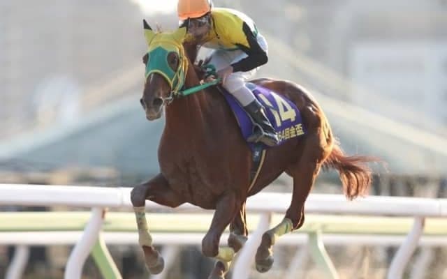 【金盃】GI馬ノンコノユメは8枠15番、3連覇狙うサウンドトゥルーは6枠11番