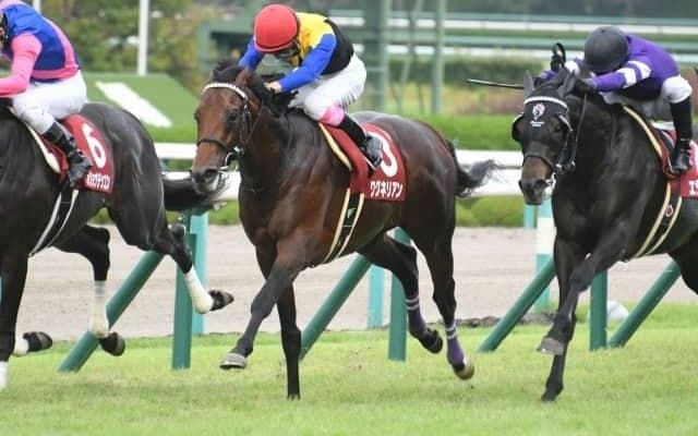 【次走】京都記念5着のワグネリアンは大阪杯を視野に