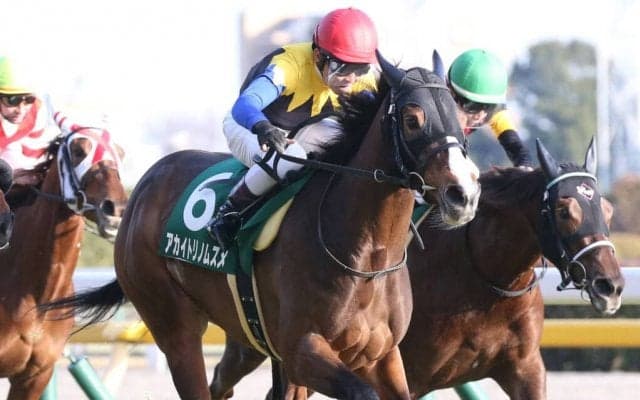 【クイーンC】超良血アカイトリノムスメが3連勝で重賞初制覇