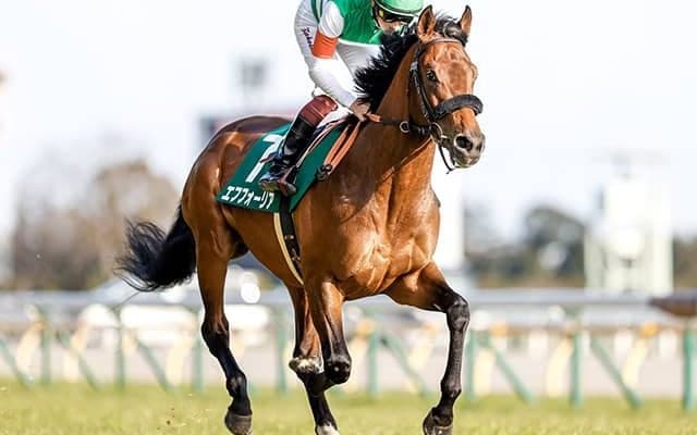 【次走】共同通信杯Vのエフフォーリアは皐月賞直行を視野に