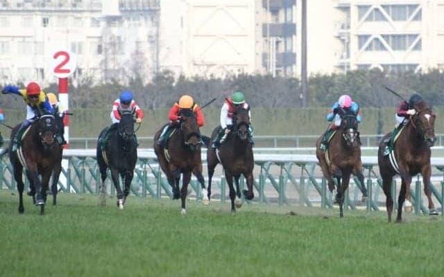 ヨーホーレイクは皐月賞に直行　ホープフルS・3着、きさらぎ賞・2着