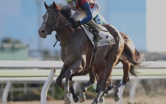 【フェブラリー賞】吉原寛人騎手＆フィアットルクスがV　南関東では15戦12勝