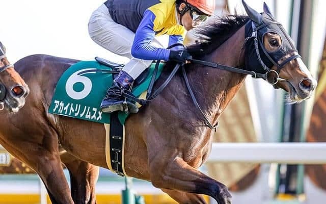 【クイーンC回顧】アカイトリノムスメ　一戦ごとに成長してきた超良血馬/栗山求コラム