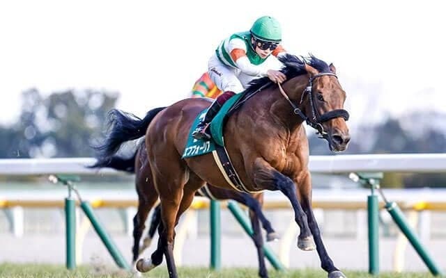 【共同通信杯回顧】エフフォーリア無傷の3連勝　エピファネイア産駒の奥深い資質/栗山求コラム
