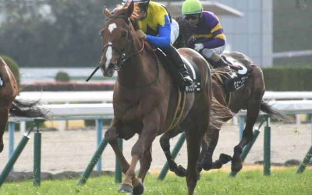 【小倉大賞典 予想オッズ】ボッケリーニらが人気の中心