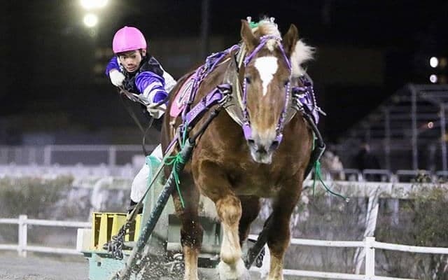 活躍目立つ地方競馬の新人騎手/斎藤修コラム