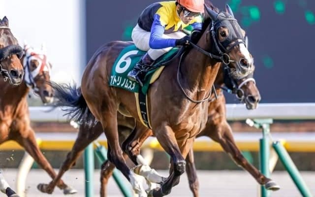 【次走】クイーンCを制したアカイトリノムスメは桜花賞へ