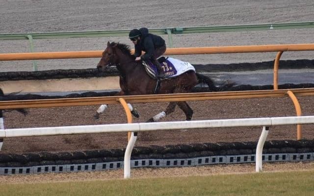 ダノンザキッド、弥生賞ディープインパクト記念2週前追い切り速報/栗東トレセンニュース