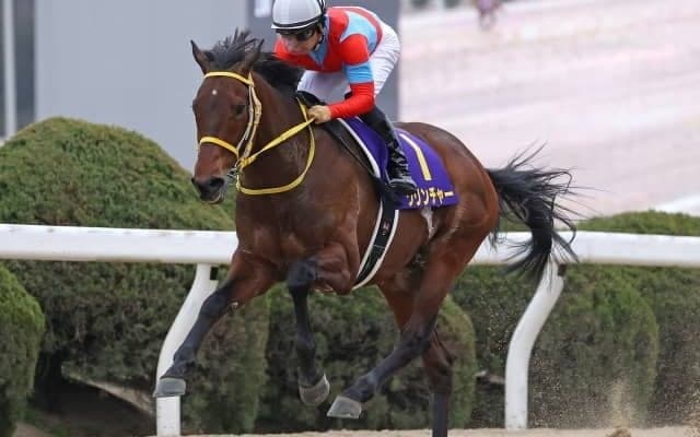 9馬身差圧勝のクリンチャーは名古屋大賞典へ