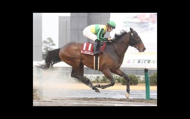 混戦のフェブラリーＳ。注目は「勝ちだしたら止まらない」血を持つ５歳馬