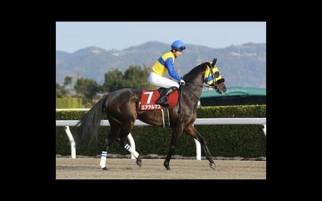 フェブラリーＳは大物不在。穴党記者が波乱の使者３頭をあぶり出した