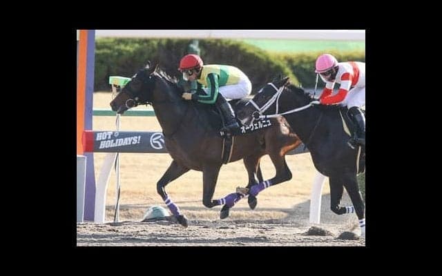 フェブラリーＳはどの馬にもチャンスあり。最も勢いある馬の一発に期待