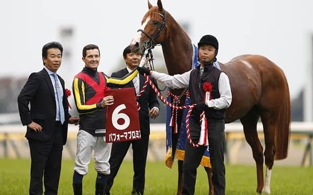 【JRA】ダイヤモンドS出走のパフォーマプロミスが骨折、昨年の鳴尾記念など重賞3勝