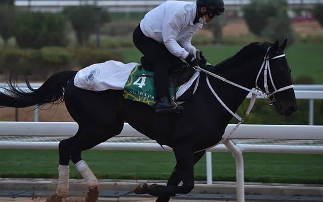 【サウジCデーまとめ】総賞金2000万米ドル、サウジCは日本時間2時40分発走