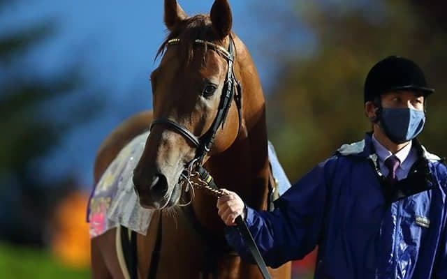 【フェブラリーS】「勝ったら◯◯」武豊騎手は35年連続重賞制覇、今月勇退角居師はラストGI