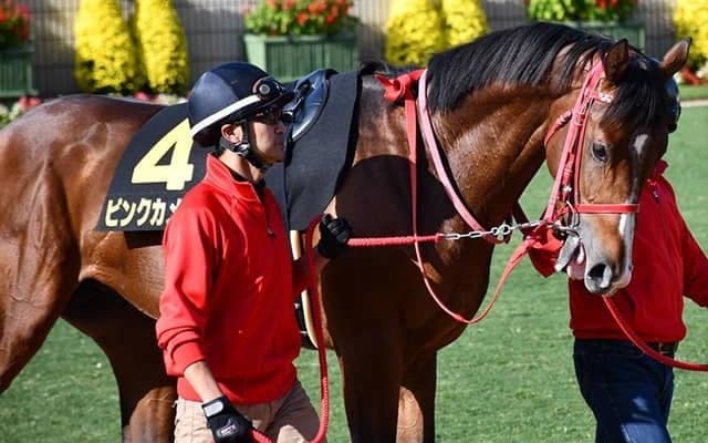 【サウジCデー】2騎手が入国不可になり騎乗変更、サウジダービーのピンクカメハメハは戸崎圭太騎手に