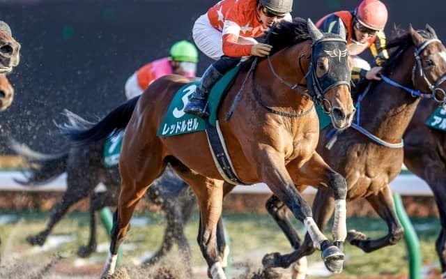 【フェブラリーS】レッドルゼル安田師「ロードカナロア産駒初のダートGI馬に」/ねぇさんのトレセン密着