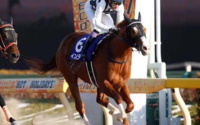 【フェブラリーS予想】注目すべきは年齢!? ベテラン実績馬にチャンスあり/JRAレース展望