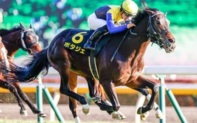 【次走】4連勝中のポタジェは北村友一騎手との新コンビで金鯱賞へ