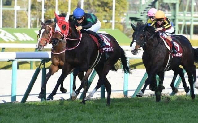 【次走】ラヴズオンリーユーはO.マーフィー騎手との新コンビでドバイへ