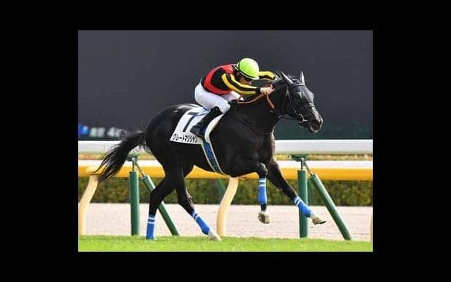 大器グレートマジシャンにスタッフも驚愕「どこまで強くなるのか」